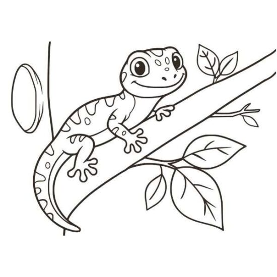 Gekko homokkép
