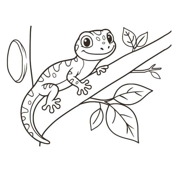 Gekko homokkép